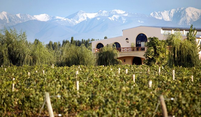 #RRW3, à la découverte du cépage malbec, de Cahors à l&rsquo;Argentine