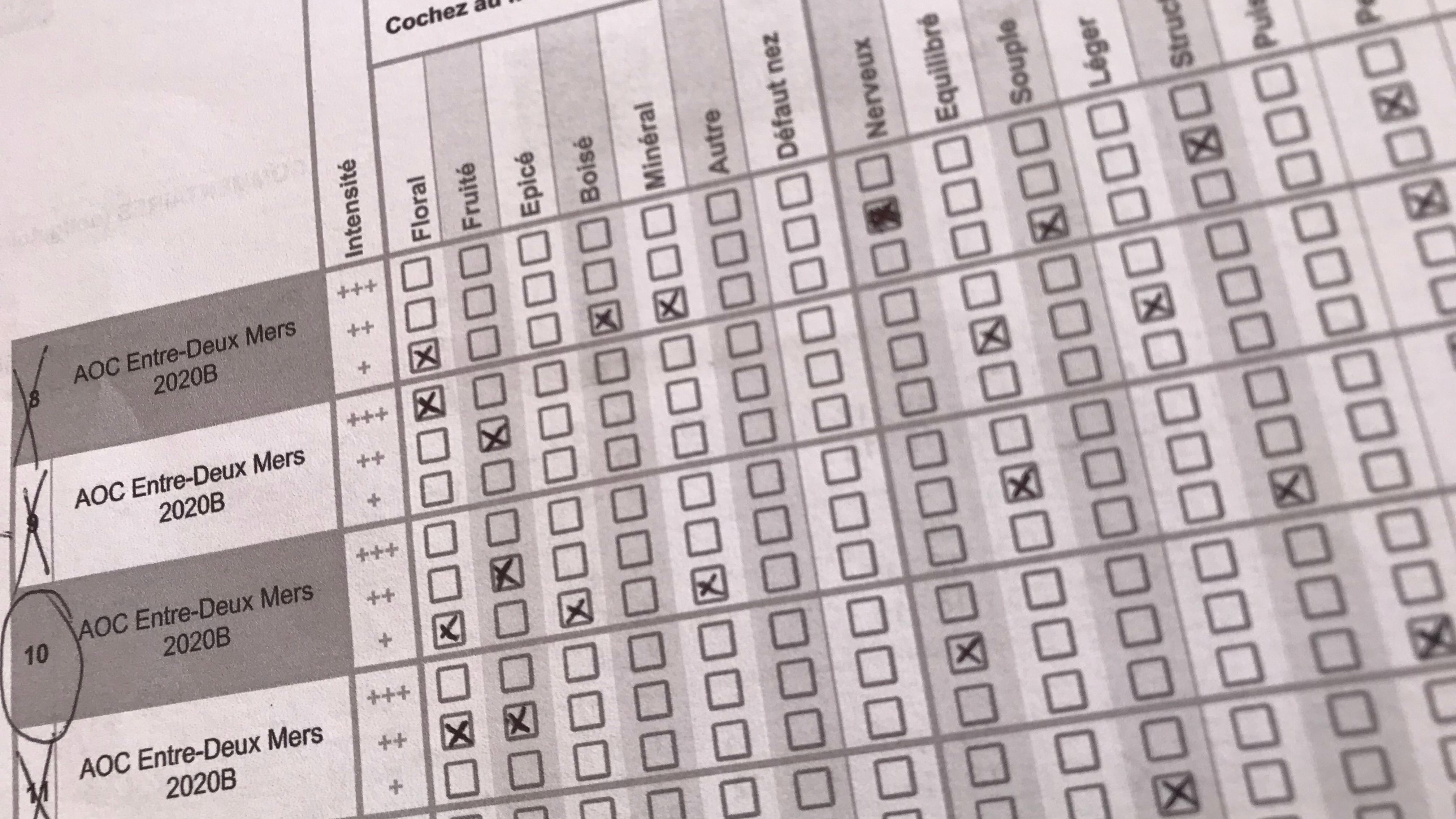 Fiche degustation Jury oenologie vin