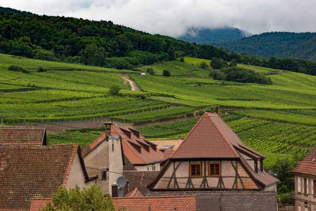 Millésimes Alsace : conférence &laquo;&nbsp;vins de terroir&nbsp;&raquo;