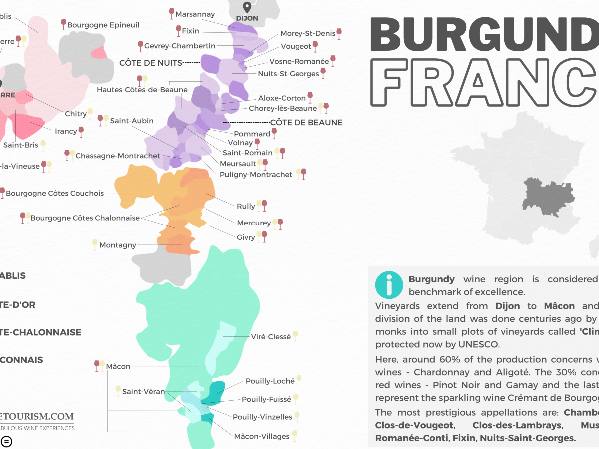 Février 26: 50 nuances de chardonnay de Bourgogne